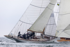 M12m_cup-227