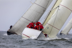 M12m_cup-53