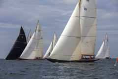 M12m_cup-601