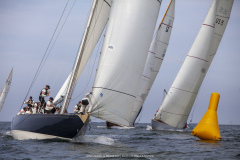 M12m_cup-620