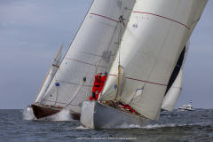 M12m_cup-622