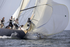 M12m_cup-628