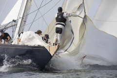 M12m_cup-630