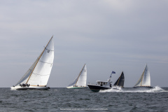 M12m_cup-641