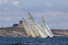 M12m_cup-642